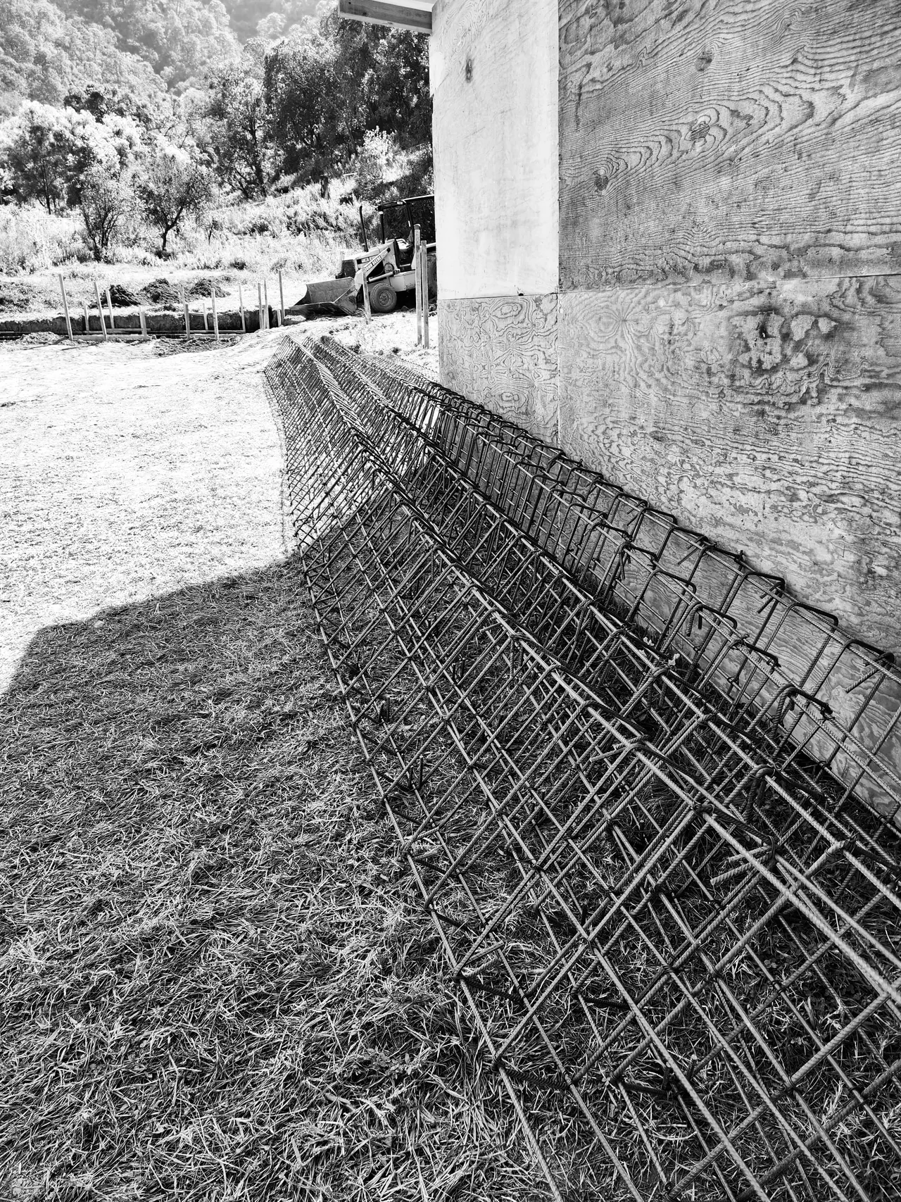 Rancho El Olivo