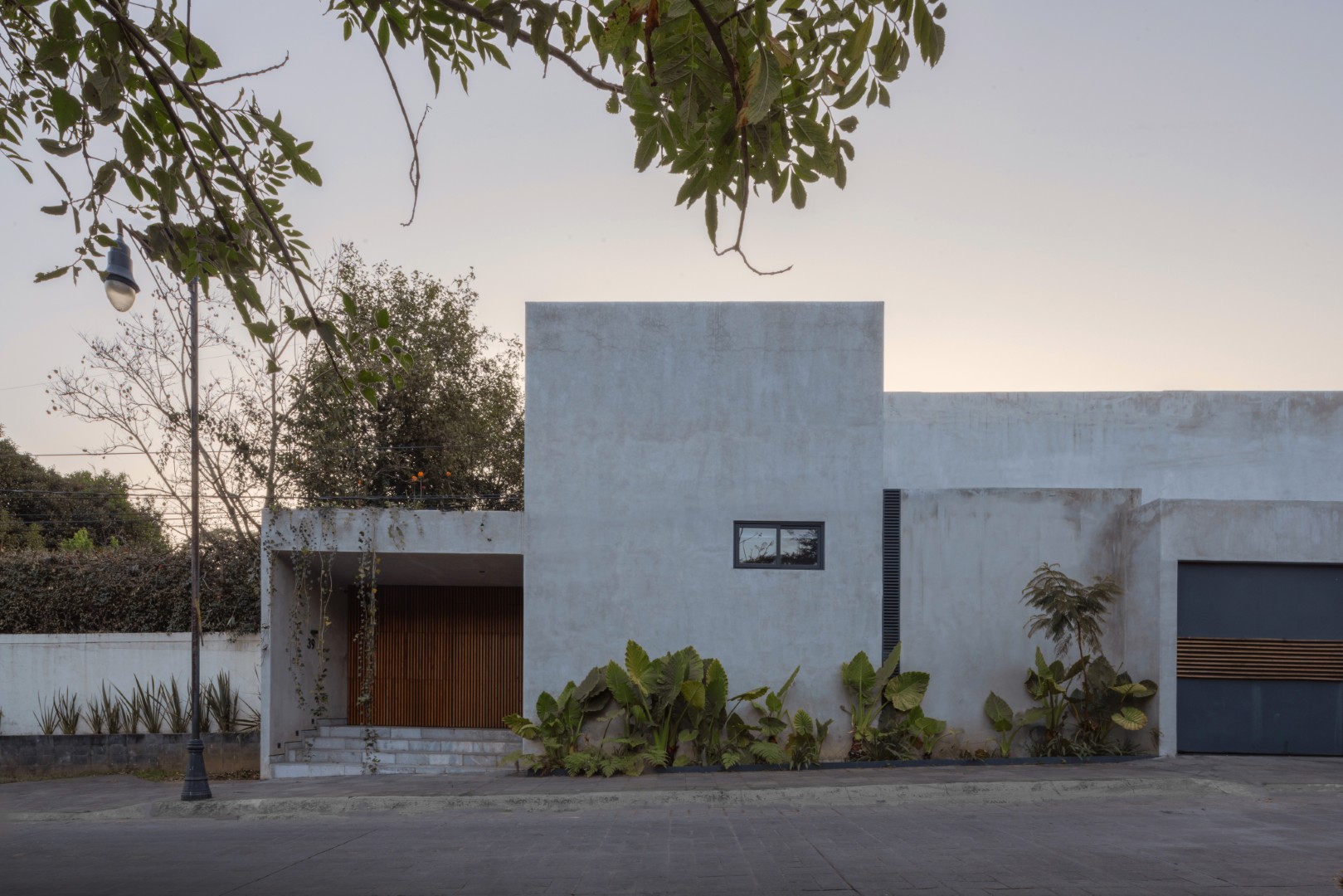 Proyecto Tasman